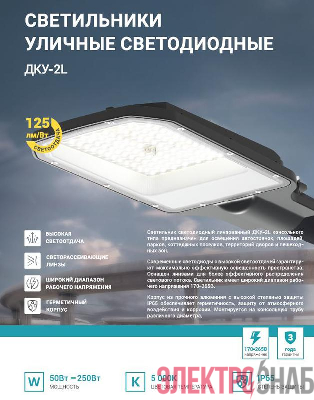 Светильник уличный линзованный светодиодный ДКУ-2L 250Вт 230В 5000К 31250лм 125лм/Вт 48-70мм IP65 NEOX 4690612057507