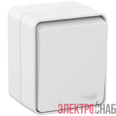 Выключатель 1-кл. ОП AtlasDesign PROFI IP54 10AX бел. SE ATN540111