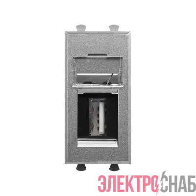Розетка USB 2.0 1мод. Avanti "Закаленная сталь" тип А-А модульная DKC 4404401