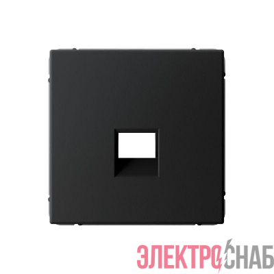 Накладка информационная ArtGallery типа Keystone карбон SE GAL001084