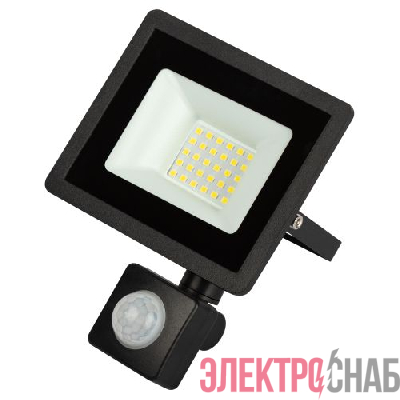 Прожектор светодиодный уличный LPR-042-2-65K-030 30Вт 6500К 2400лм IP44 регулируемый ИК датчик Эра Б0064234
