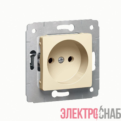 Розетка 1-м СП Cariva 16А IP20 250В 2P без заземл. механизм сл. кость Leg 773716