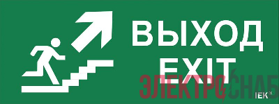 Этикетка самоклеящаяся "Выход/лестница вверх/фигура" ДПА IP20/54 IEK LPC10-1-24-09-VLVVF