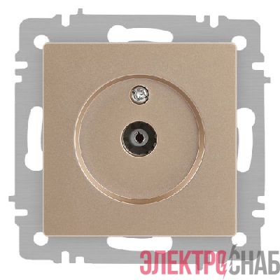 Розетка телевизионная одиночная TV СП Accent 6-301-04 IP20 шампань Intro Б0063609