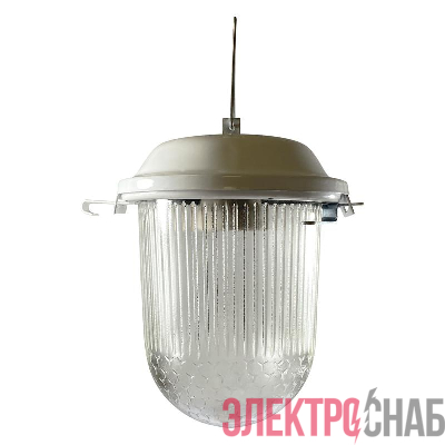 Светильник НСП 02-100-001 "Желудь А" IP52 Элетех 1005550305