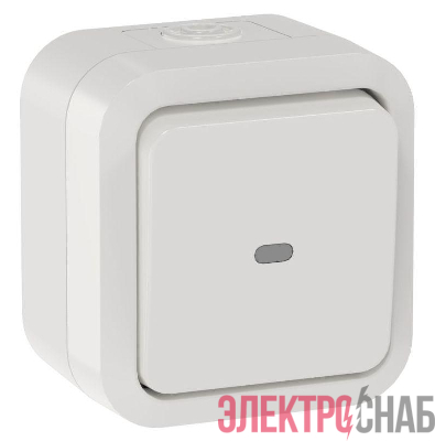 Переключатель 1-кл. ОП TORS 10А IP55 TS302 с индикацией бел. IEK TS-V10-1-10-55-K01