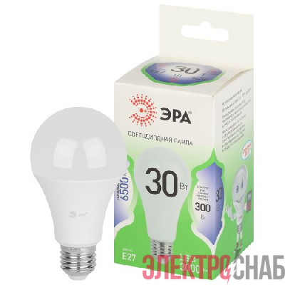Лампа светодиодная GREEN LINE A65-30W-865-E27 GL 30Вт груша 6500К свет холод. E27 Эра Б0067145