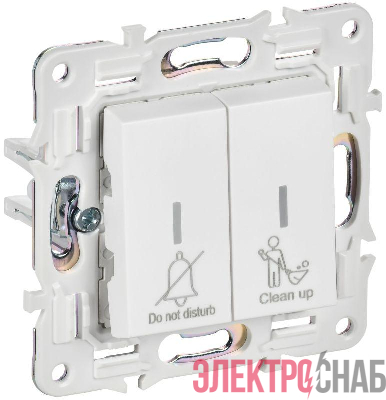 Выключатель 2-кл. SKANDY 10А SK-V16W для отелей с индикацией арктич. бел. IEK SK-V20-2-10-K01