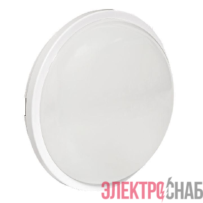 Светильник светодиодный ЖКХ ДПО-2009 12Вт 6500К IP65 круг LUMA EKF BKL-2009-R-12-6500