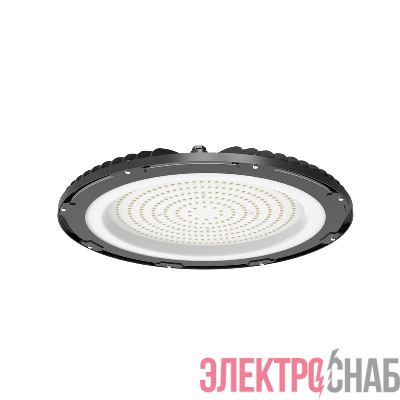 Светильник светодиодный ДСП IB 02 S 100W VW 850 BK CL 297х297х84 5мм 100Вт 5000К IP65 High Bay подвес черн. Русский Свет 16090223710