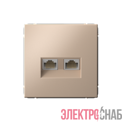 Розетка компьютерная 2-м ArtGallery RJ45 + RJ45 кат.5E механизм песочн. SE GAL001285