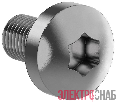 Винт М6х10 TORX30 DIN7500C (уп.50шт) FORMAT IEK FO-00D-VTORX-M6X10-050