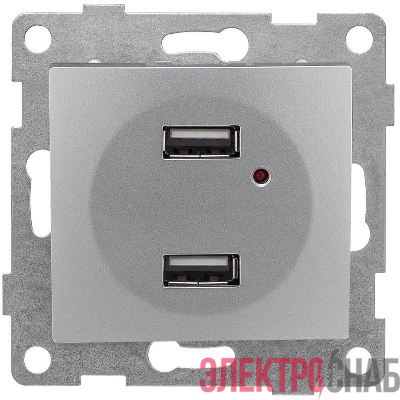 Розетка USB 2-м СП Bravo механизм серебр. GUSI С10USB2-004