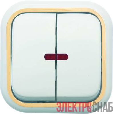 Выключатель 2-кл. ОП Валентина 10А IP20 с индикацией бел./зол. Кунцево 7637