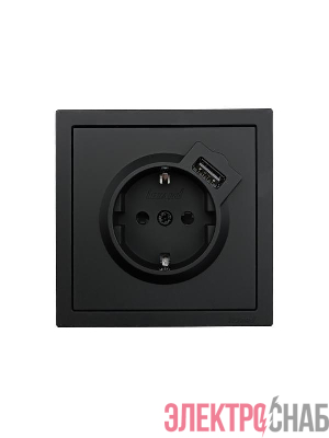 Розетка 1-м СП ZIMA IP20 + USB с заземл. механизм черн. бархат LEZARD 704-4288-181