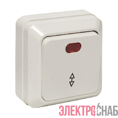 Переключатель проходной 1-кл. ОП Рим 10А IP20 с индикатором бел. EKF ENV10-125-10