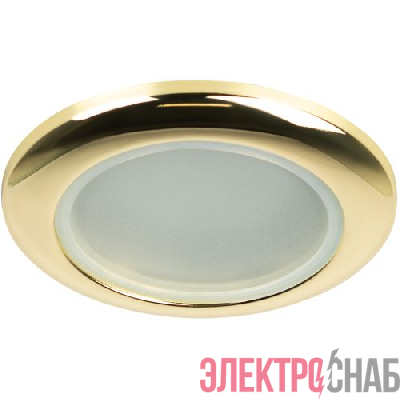 Светильник точечный WR1 GD 50Вт IP44 MR16 12В влагозащ. зол. ЭРА C0043846