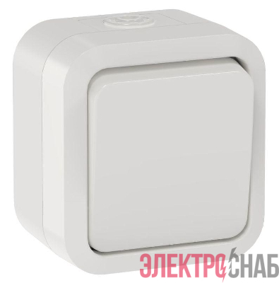 Выключатель 1-кл. ОП TORS 2п 10А IP55 TS311 бел. IEK TS-V16-0-10-55-K01