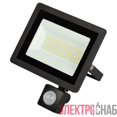 Прожектор светодиодный уличный LPR-042-2-65K-050 50Вт 6500К 4000лм IP44 регулируемый ИК датчик Эра Б0064292