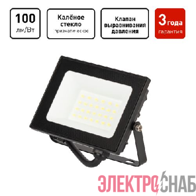 Прожектор светодиодный PRO LPR-062-0-65K-020 20Вт 6500К 2000лм IP65 призма Эра Б0064648