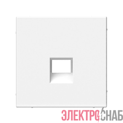 Накладка информационная ArtGallery типа Keystone бел. SE GAL000184