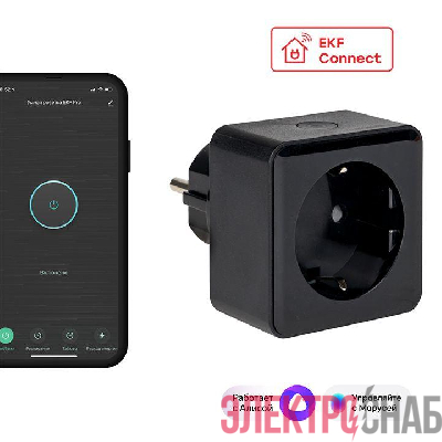 Розетка умная Wi-Fi PRO 1-м 16А IP20 черн. Connect EKF RCS-2-WF