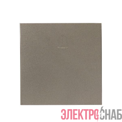 Панель лицевая Валенсия для кнопки звонка 10А кашемир PROxima EKF ESV10-L-026-40