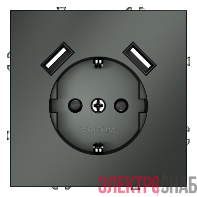 Розетка 1-м СП S70 16А с USB A+A с заземл. защ. шторки механизм титан Voltum VLS040406