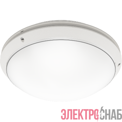 Светильник светодиодный CD LED 13 12Вт 4000К IP65 потолочный СТ 1134000050