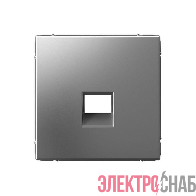 Накладка информационная ArtGallery типа Keystone сталь SE GAL000984