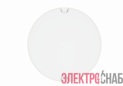 Светильник светодиодный Eco Class BLKH 30Вт 4000К IP65 ЖКХ ДПО/СПП кругл. WT LEDVANCE 4058075692091