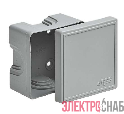 Коробка ОП Тусо распаячная 70х70х40мм свет. сер. IP44 Ruvinil 65006