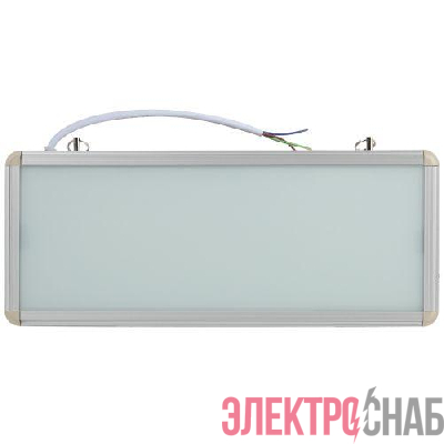 Светильник светодиодный SSA-101-0-20 3ч 3Вт без текста аварийный ЭРА Б0044387
