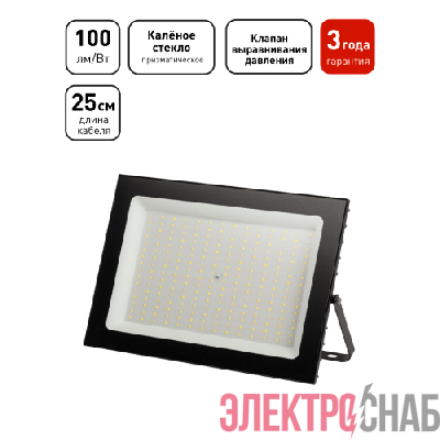 Прожектор светодиодный PRO LPR-062-0-65K-300 300Вт IP65 6500К призма Эра Б0065943