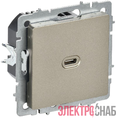 Розетка СП BRITE USB C 65Вт высокоскор. заряд. РЮ12-1-БрШ шампань IEK BR-U13-065-K37