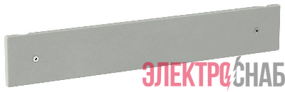 Фальш-панель внешняя глухая 100х600 FORMAT IEK FO-00-PWSB-010-060