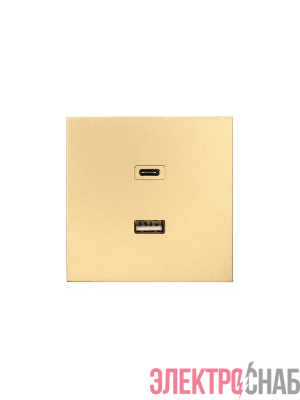 Розетка Type-C+ USB разъем СП ZIMA IP20 зол. LEZARD 704-3688-192TC