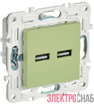 Розетка USB A+A 3.1А SKANDY SK-R15G мятный IEK SK-U21-D31-K06