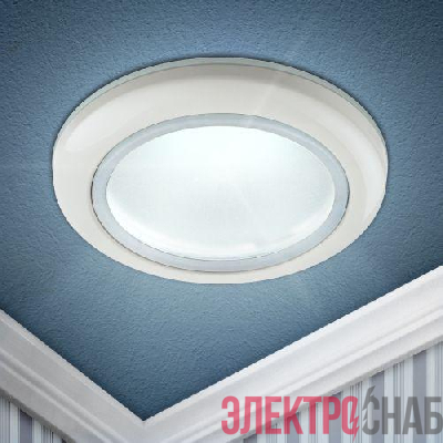 Светильник точечный WR1 WH 50Вт GU5.3 MR16 12В/220В d70мм влагозащ. бел. ЭРА Б0005214