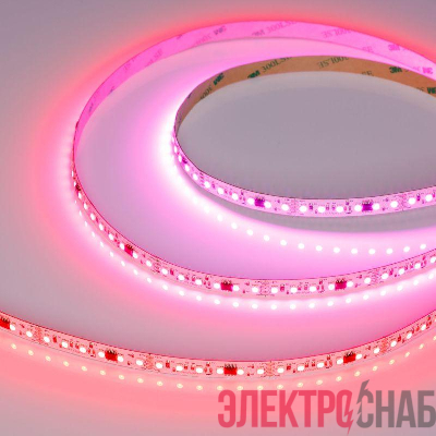 Лента светодиодная SPI-A120-10mm 24V RGB-PX6-BPT 23Вт/м IP20 2835 бегущий огонь (уп.5м) Arlight 046871