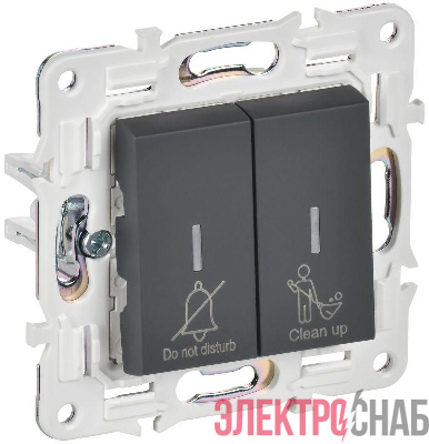 Выключатель 2-кл. SKANDY 10А SK-V16G для отелей с индикацией графит IEK SK-V20-2-10-K53