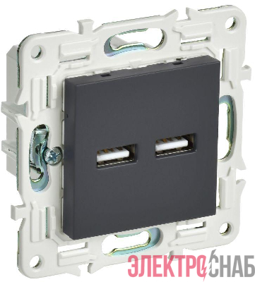 Розетка USB A+A 3.1А SKANDY SK-R15G графит IEK SK-U21-D31-K53