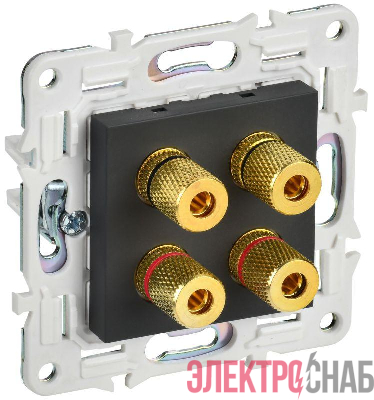 Аудиорозетка 4-м SKANDY SK-A01G графит IEK SK-S40-K53
