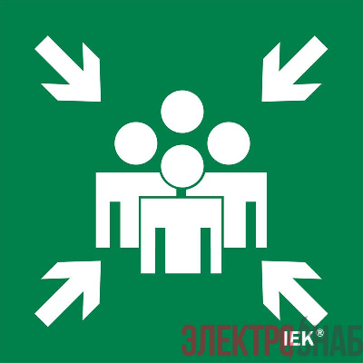 Этикетка самоклеящаяся 150х150мм "Место сбора" IEK LPC10-1-15-15-MSTS