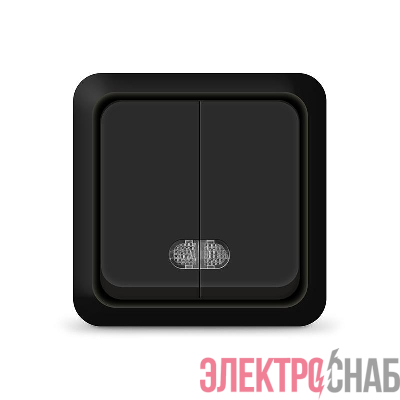 Выключатель 2-кл. ОП Олимп 10А IP20 с подсветкой черн. Universal 2214