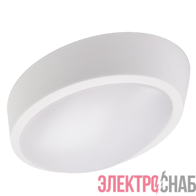 Светильник светодиодный "Банник" PBH-PC-OA 12Вт 4000К IP65 ЖКХ ДБП пылевлагозащ. JazzWay 1024602A