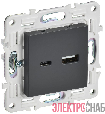 Розетка USB A+C 3.1А SKANDY SK-R14T титан IEK SK-U22-D31-K48