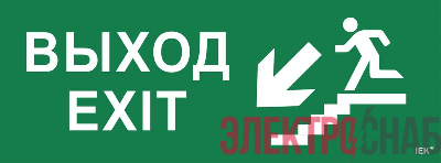Этикетка самоклеящаяся "Выход/лестница вниз/фигура" ССА 1005 IEK LPC10-1-35-13-VLVNF