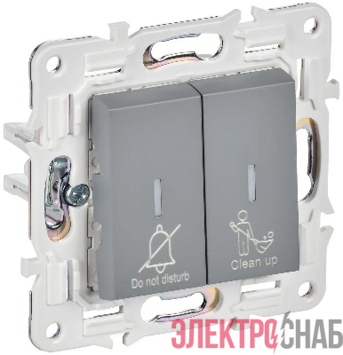 Выключатель 2-кл. SKANDY 10А SK-V16Gr для отелей с индикацией сер. IEK SK-V20-2-10-K03