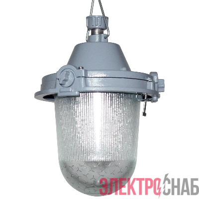 Светильник НСП 11-100-434 "Буран" IP62 корпус алюм. литой Элетех 1005550287